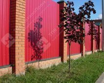 Профнастил С-8 п/э RAL 3003 (красный рубин) 0,45 мм